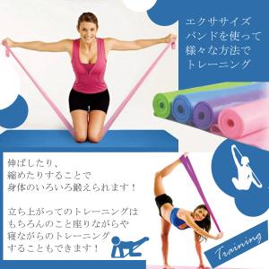 トレーニングチューブ ゴムチューブ エクササイ...の詳細画像2