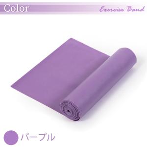 トレーニングチューブ ゴムチューブ エクササイ...の詳細画像5