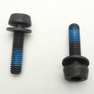 カンパニョーロ SCREWS for REAR MOUNT 2×19｜worldcycle