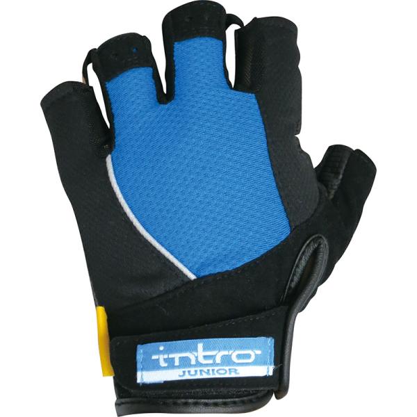 イントロ スティンガー2J ブルー グローブ