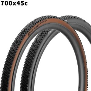 SCHWALBE（シュワルベ） タイヤ2本 チューブ2個セット SCHWALBE Ice