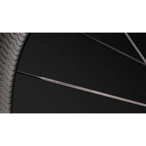スコープ ARTECH 2 CERASP シマ...の詳細画像3