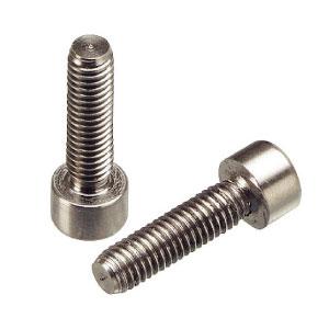 トーケン AT1704 チタンボルト M5×20mm 1本