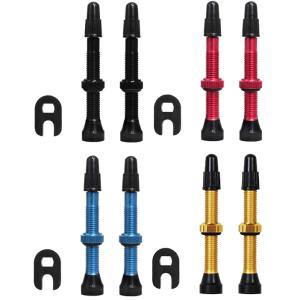 TNI チューブレスバルブ 仏式 44mm 2本入り