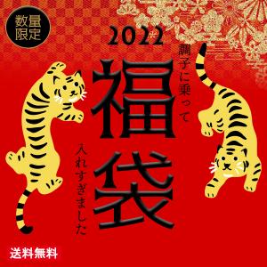 オルルド釣具 釣り具 ルアー 福袋2022 ライトショアジギング