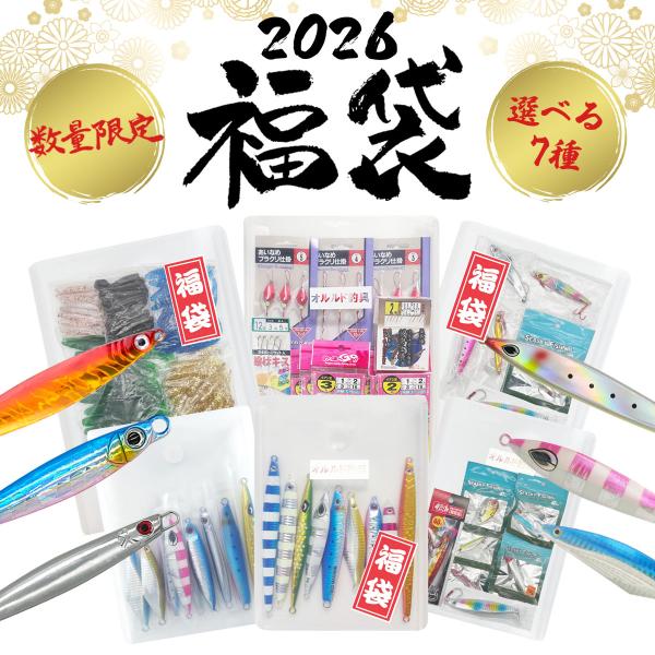 福袋 2026 ルアーセット 釣り具 仕掛け ライトショアジギング スロージギング ジグ ワーム 各...