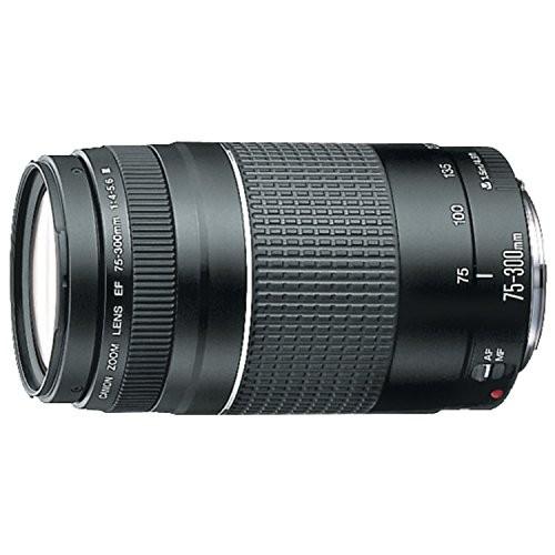 Canon EFレンズ EF75-300mm F4-5.6 IIIズームレンズ 望遠