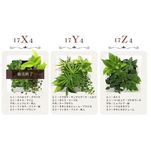 送料無料 壁掛けできる観葉植物 ミドリエ デザ...の詳細画像4