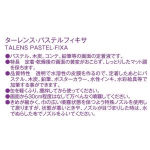 ターレンスジャパン(Talens Japan)...の詳細画像2