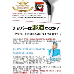 ランキング受賞! 井戸木プロ推薦 CH809 ...の詳細画像1