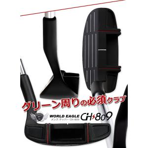 ランキング受賞! 井戸木プロ推薦 CH809 ...の詳細画像2