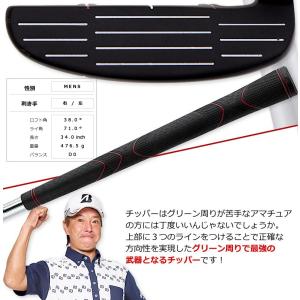 ランキング受賞! 井戸木プロ推薦 CH809 ...の詳細画像3
