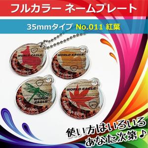 一緒にご注文で200円 ネームタグ カラフル 35mm No.011 紅葉 ネームプレート 名札 名入れ｜worldgolf