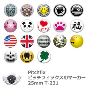Pitchfix ピッチフィックス用マーカー25...の商品画像