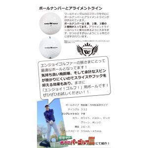 春爛漫ゴルフフェア ゴルフボール C78 10...の詳細画像3