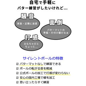 エジソンゴルフ サイレントボール ターゲット付...の詳細画像2