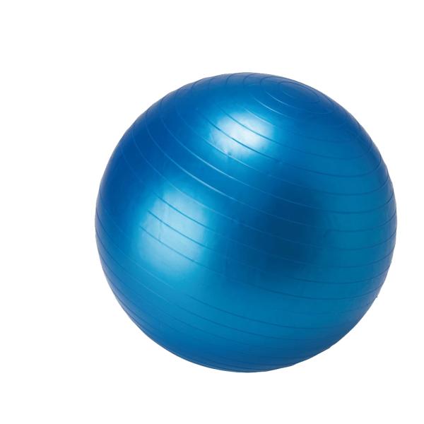 IDEAL BODY アイディアル ボディ フィットネスボール ブルー 65cm IBFG-5759...