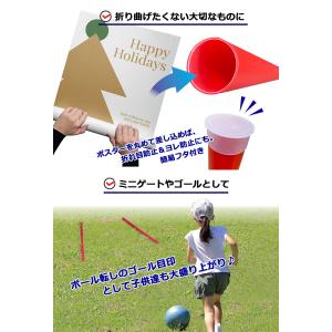 ランキング受賞! お好みの本数でバッグ内をカス...の詳細画像2