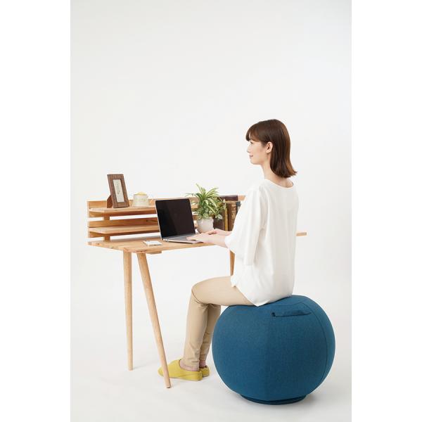 【ニーズ サンファミリー】体幹バランスエクサボール　ダイエット・健康グッズ エクササイズ用品