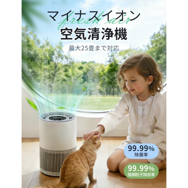 花粉対策! 空気清浄機 超静音 25畳対応 除菌 空気循環 脱臭機 ペット臭 ホコリ タイマー PM...