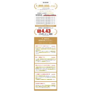 爆買 ヘアドライヤー サロン級低温速乾 高速ド...の詳細画像2