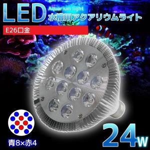E26口金 24W 珊瑚 植物育成 水草用 水槽用 LEDアクアリウムスポットライト 青8灯×赤4灯  QL-02