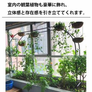 幅140×高さ240cm ガーデンアーチ バラ...の詳細画像3
