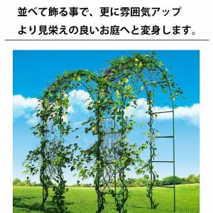 幅140×高さ240cm ガーデンアーチ バラ...の詳細画像4