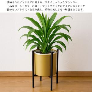 フラワースタンド ガーデニング 棚 花台 おし...の詳細画像2