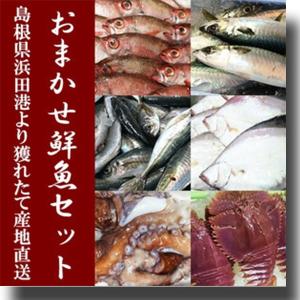 おまかせ鮮魚セット 「お試しコース」／冷蔵便｜worldone