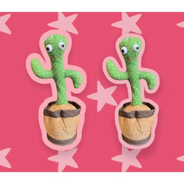 陽気なサボテン　ダンシングアミーゴ