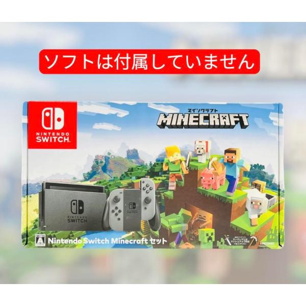 Nintendo Switch Minecraftセット 本体 グレー 完品 中古 動作確認済み 初...