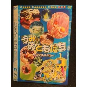 ○005893 レンタルUP□DVD うみのおともだち かわいいね 003 ※ケース無