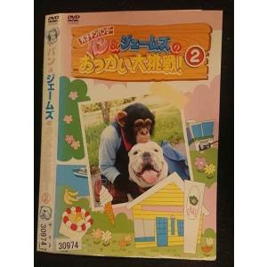 ○007979 レンタルUP◆DVD パン&ジェームズのおつかい大挑戦！2 30974 ※ケース無
