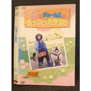 ○008575 レンタルUP●DVD パン&ジェームズのおつかい大挑戦！ 17476 ※ケース無