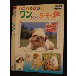○008575 レンタルUP●DVD どうぶつ大好き ワンちゃんとあ・そ・ぼー 3961 ※ケース無