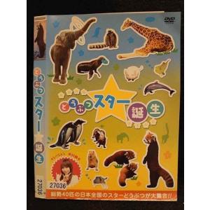 ○009795 レンタルUP☆DVD どうぶつスター誕生 27036 ※ケース無