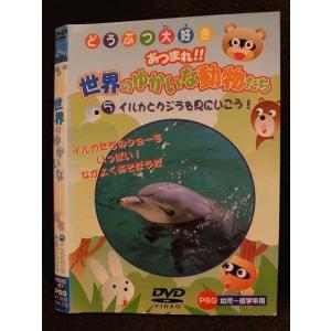 ○009799 レンタルUP☆DVD どうぶつ大好き あつまれ！！ 5 世界のゆかいな動物たち 5 イルカとクジラを見にいこう！ 57 ※ケース無