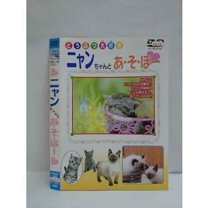 ○010516 レンタルUP●DVD どうぶつ大好き ニャンちゃんとあ・そ・ぼー 028 ※ケース無