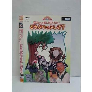 ○010516 レンタルUP●DVD 岩合さんがおしえてくれた！ どうぶつのふしぎ？ 50012 ※ケース無
