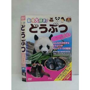 ○010516 レンタルUP●DVD 動物大好き！ どうぶつ スペシャル100 302 ※ケース無