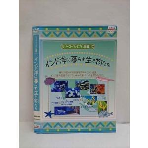 ○010516 レンタルUP●DVD シーズン・ヴィジアル図鑑10 インド洋に暮らす生き物たち 356 ※ケース無