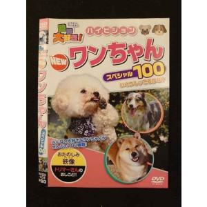 ○011425 レンタルUP◇DVD 動物大好き！ ハイビジョン NEW ワンちゃん スペシャル100 103 ※ケース無
