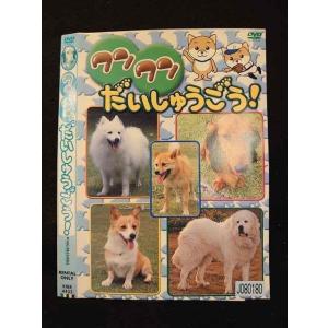 ○011492 レンタルUP●DVD ワンワンだいしゅうごう！ 4432 ※ケース無