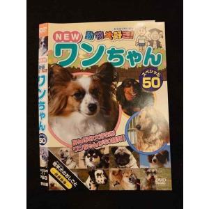 ○012542 レンタルUP・DVD NEW 動物大好き！ ワンちゃん スペシャル50 11 ※ケース無