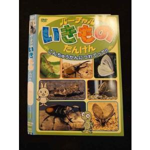 ○012541 レンタルUP・DVD バーチャルいきものたんけん こんちゅうかんにつれてって!! 4429 ※ケース無