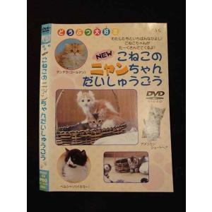 ○012542 レンタルUP・DVD NEW こねこのニャンちゃんだいしゅうごう 52 ※ケース無