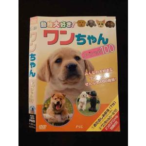 ○012541 レンタルUP・DVD 動物大好き！ ワンちゃん スペシャル100 303 ※ケース無