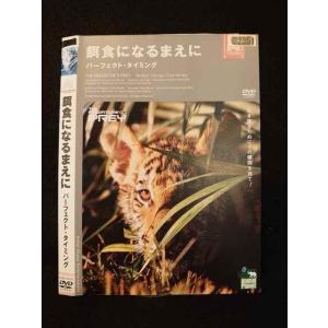 ○012559 レンタルUP・DVD 餌食になるまえに パーフェクト・タイミング 50022 ※ケース無