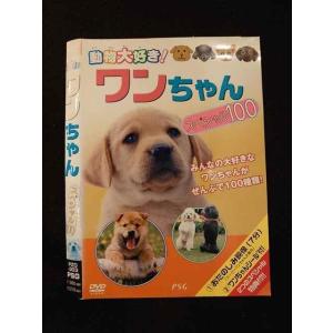 ○012767 レンタルUP：DVD 動物大好き！ ワンちゃん スペシャル100 303 ※ケース無